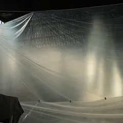 Installation view: The Importance of Telepathy (2)