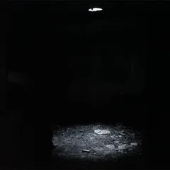 Installation view: Constellations (1)