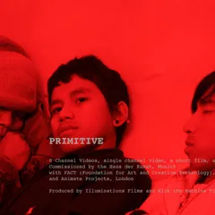 Primitive Intro