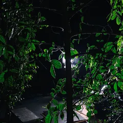 Still from Ablaze (3)