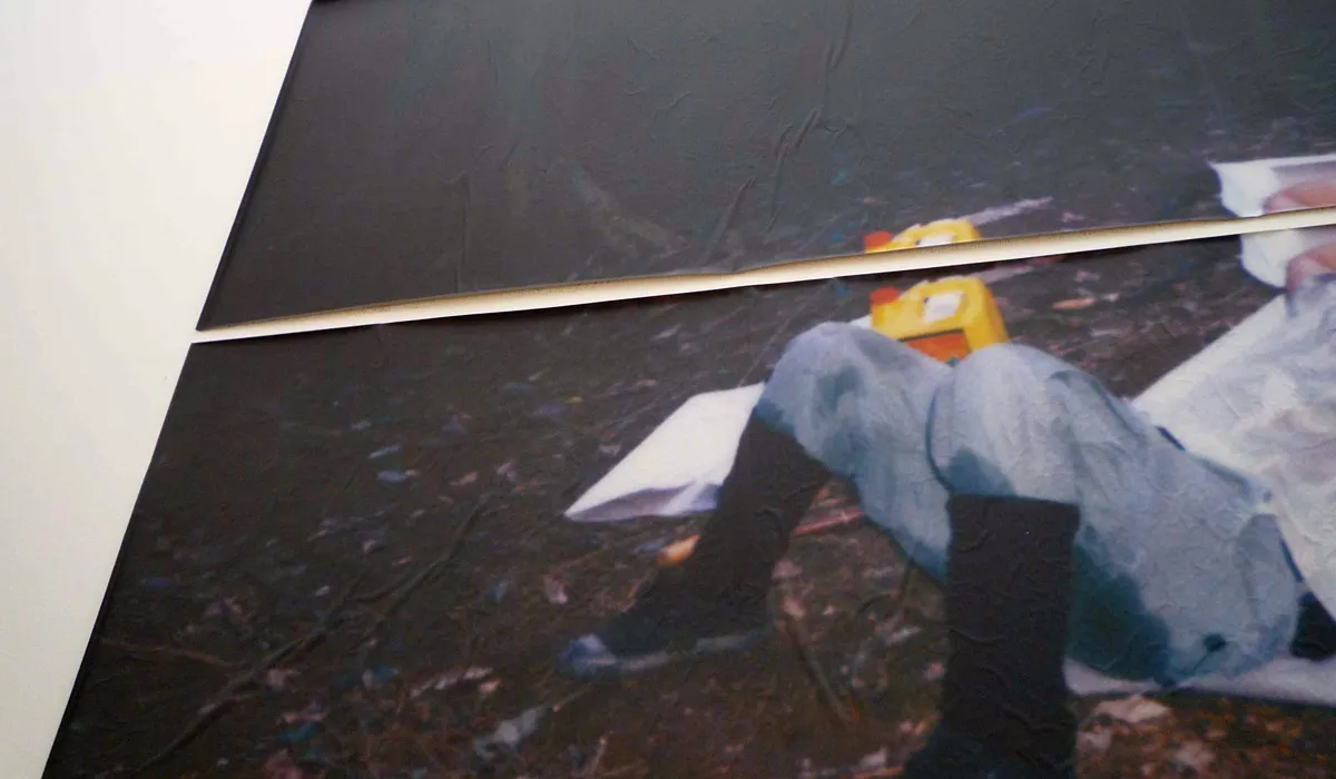 Installation view: A Man Who Ate an Entire Tree (3)