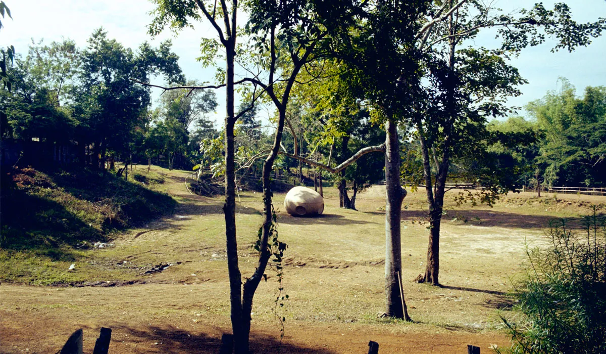 Installation view: Primitive Intro (4)