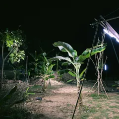 Still from Blue (4)