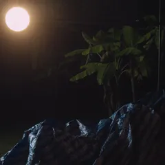 Still from On Blue (4)