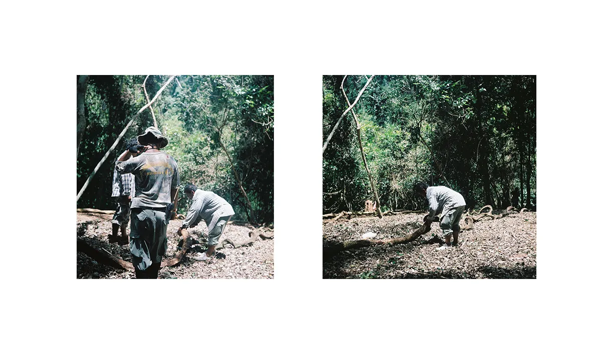Installation view: A Man Who Ate an Entire Tree (5)