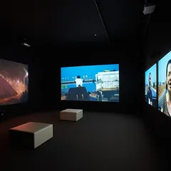 Installation view: Unknown Forces (6)