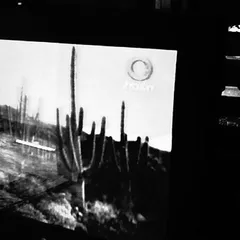 Still from Cactus River (5)