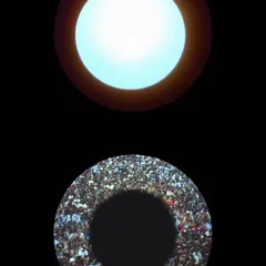 Seeing Circles (7)
