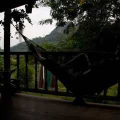 Still from Uncle Boonmee Who Can Recall His Past Lives (9)