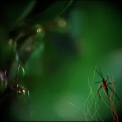 Still from My Mother's Garden (14)