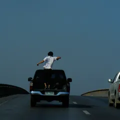 Unknown Forces