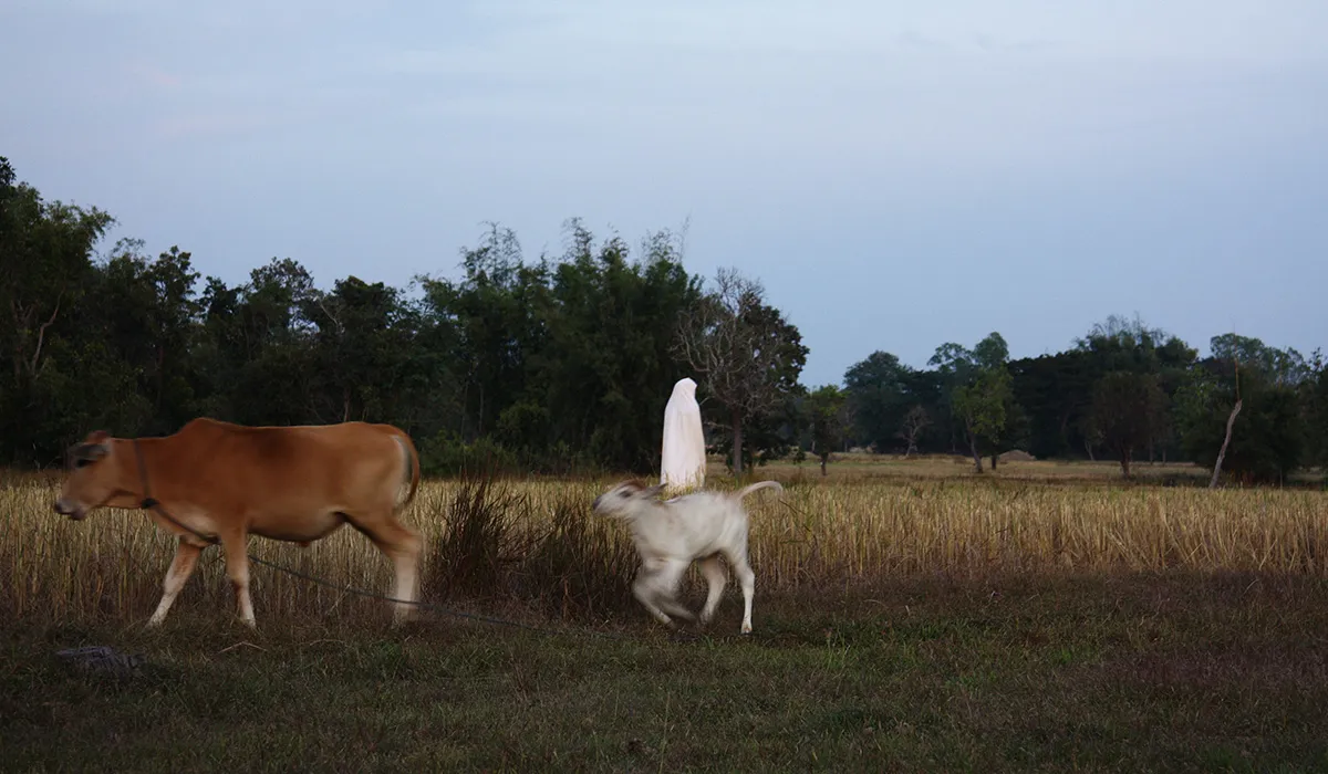 Installation view: The Importance of Telepathy (23)
