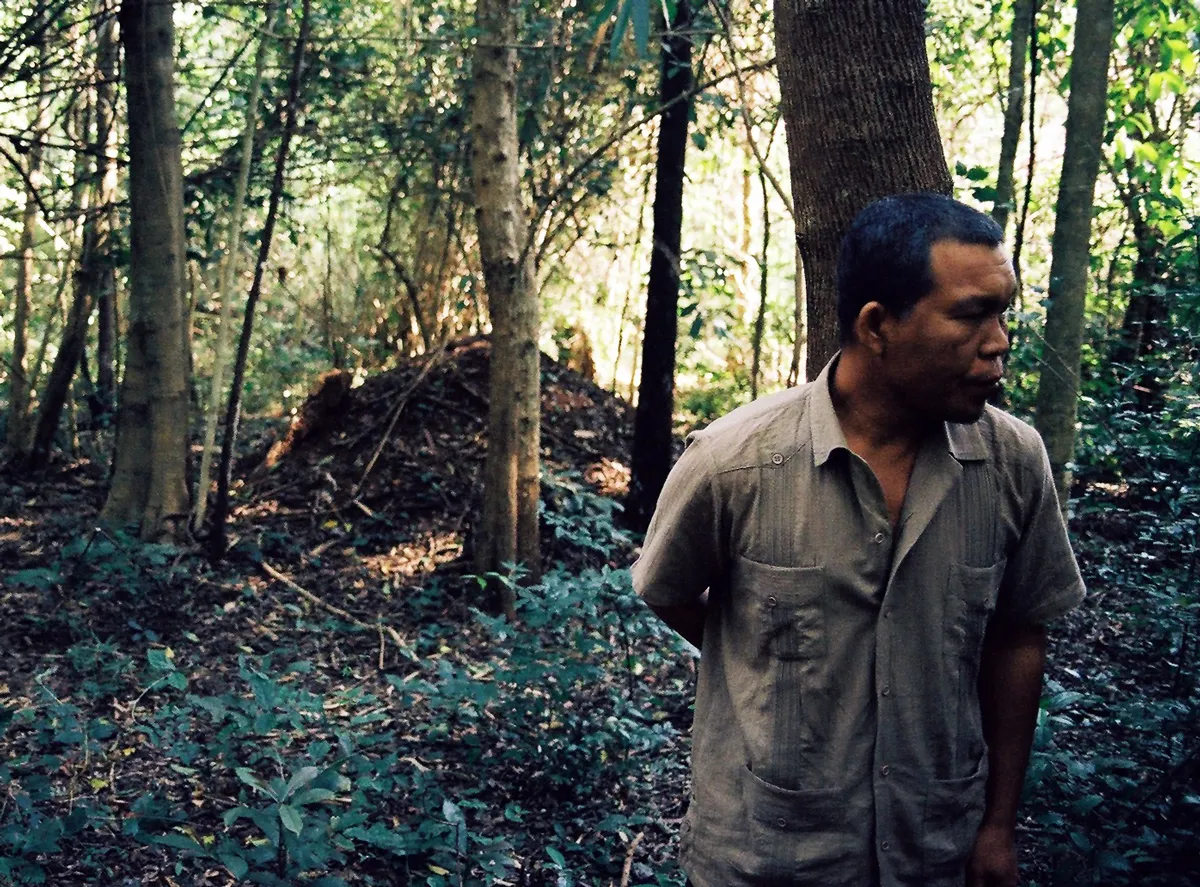 Uncle Boonmee Who Can Recall His Past Lives